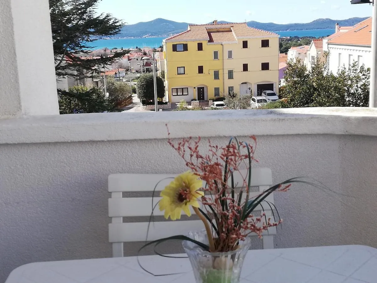 Villa Maslina Zadar Croatia