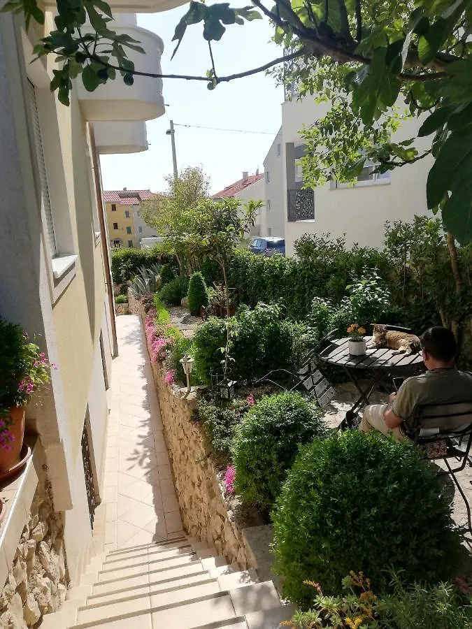 Villa Maslina Zadar Apartment